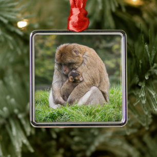 Cutest Baby Animals Barbary Macaque Family Metal Ornament