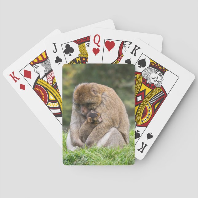 Cutest Baby Animals | Barbary Macaque Family Poker Cards (Back)