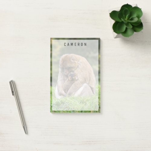 Cutest Baby Animals  Barbary Macaque Family Post_it Notes