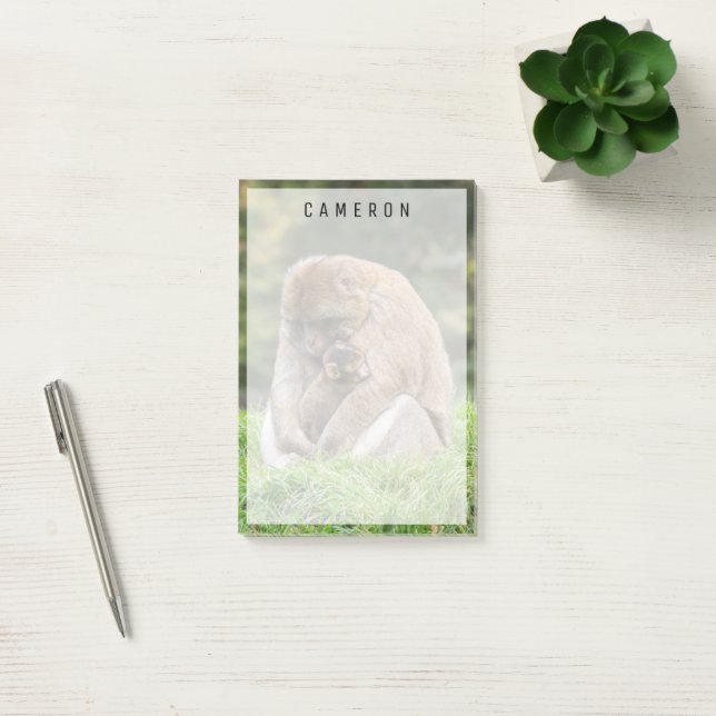 Cutest Baby Animals | Barbary Macaque Family Post-it Notes (Office)