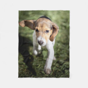 Cutest Baby Animals   Beagle Puppy Fleece Blanket