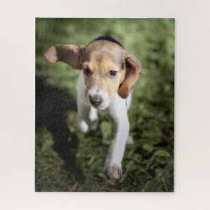 Cutest Baby Animals Beagle Puppy Jigsaw Puzzle