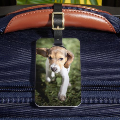 Cutest Baby Animals  Beagle Puppy Luggage Tag