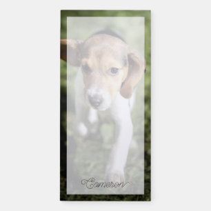 Cutest Baby Animals   Beagle Puppy Magnetic Notepad