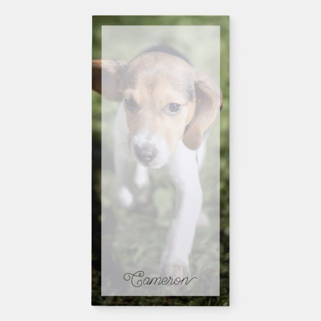 Cutest Baby Animals | Beagle Puppy Magnetic Notepad (Front)