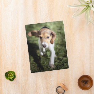 Cutest Baby Animals   Beagle Puppy Mini Binder