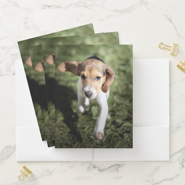 Cutest Baby Animals | Beagle Puppy Pocket Folder (In Situ)