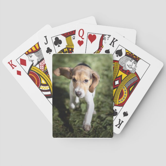 Cutest Baby Animals | Beagle Puppy Poker Cards (Back)