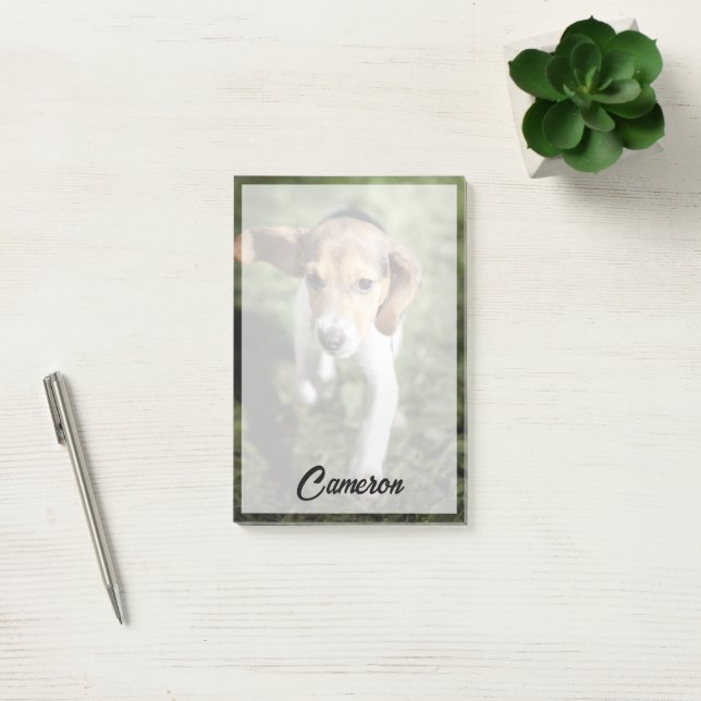 Cutest Baby Animals | Beagle Puppy Post-it Notes (Office)