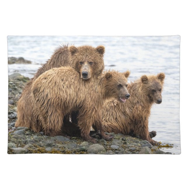 Cutest Baby Animals | Bear & Cubs Cloth Placemat (Front)