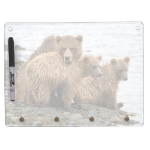 Cutest Baby Animals   Bear & Cubs Dry Erase Board With Keychain Holder