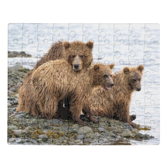 Cutest Baby Animals | Bear & Cubs Jigsaw Puzzle (Puzzle Horizontal)