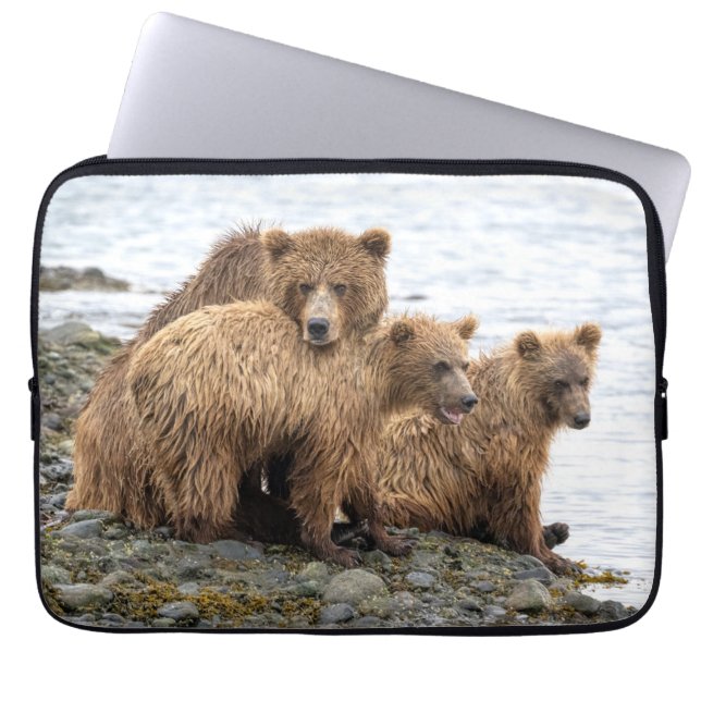 Cutest Baby Animals | Bear & Cubs Laptop Sleeve (Front)