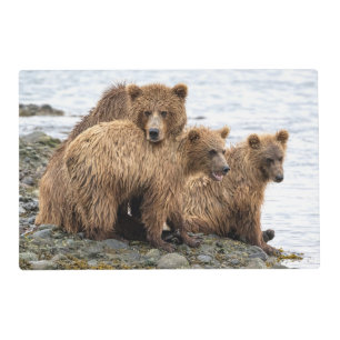Cutest Baby Animals   Bear & Cubs Placemat