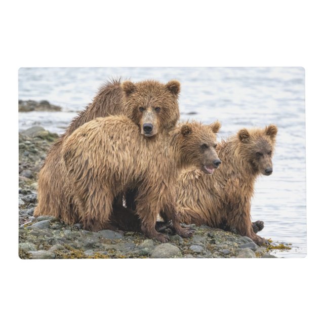 Cutest Baby Animals | Bear & Cubs Placemat (Front)