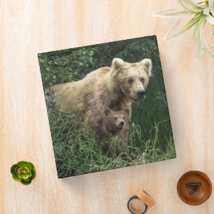 Cutest Baby Animals Bear Mama Bear & Her Cubs 3 Ring Binder