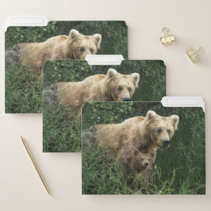 Cutest Baby Animals Bear Mama Bear & Her Cubs File Folder