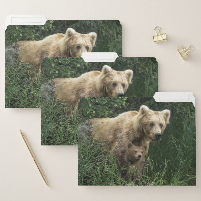 Cutest Baby Animals | Bear Mama Bear & Her Cubs File Folder (Set)