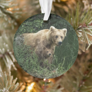 Cutest Baby Animals Bear Mama Bear & Her Cubs Ornament