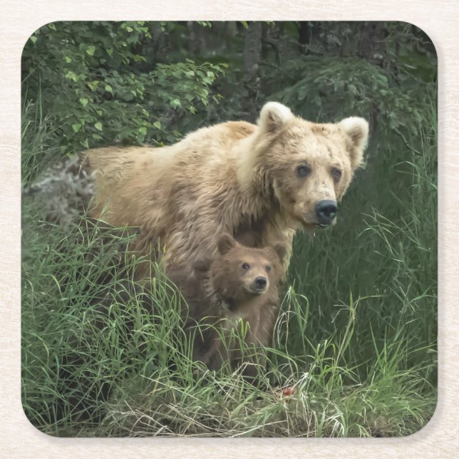 Cutest Baby Animals | Bear Mama Bear & Her Cubs Square Paper Coaster (Front)