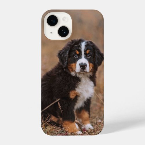 Cutest Baby Animals  Bernese Mountain Dog iPhone 14 Case