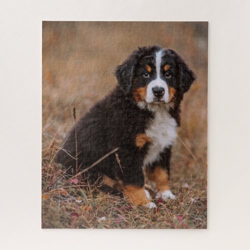 Cutest Baby Animals  Bernese Mountain Dog Jigsaw Puzzle