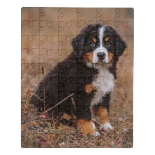 Cutest Baby Animals Bernese Mountain Dog Jigsaw Puzzle