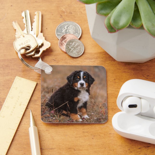 Cutest Baby Animals | Bernese Mountain Dog Keychain (Desk)