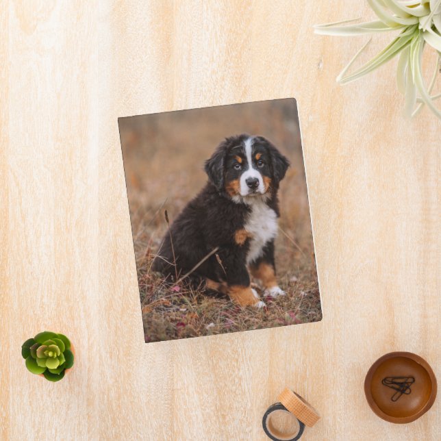 Cutest Baby Animals | Bernese Mountain Dog Mini Binder (InSitu)