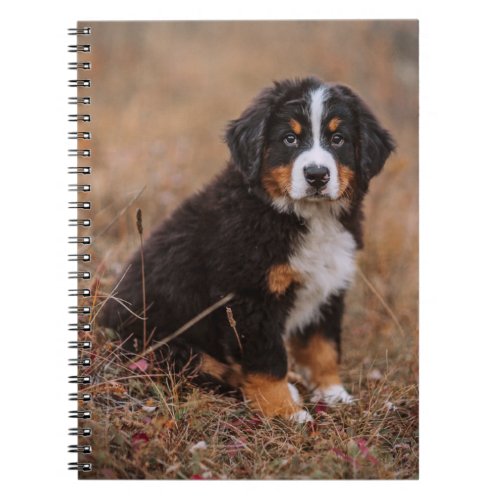 Cutest Baby Animals  Bernese Mountain Dog Notebook