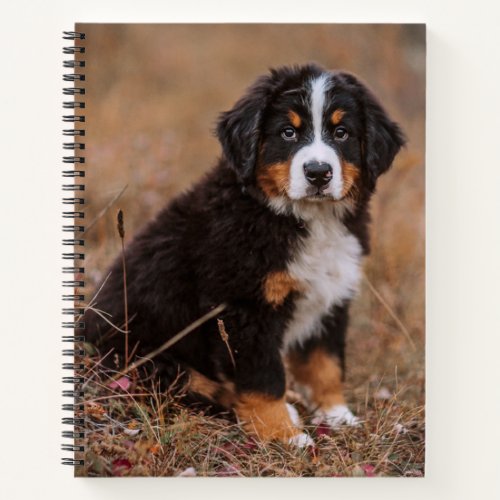 Cutest Baby Animals  Bernese Mountain Dog Notebook