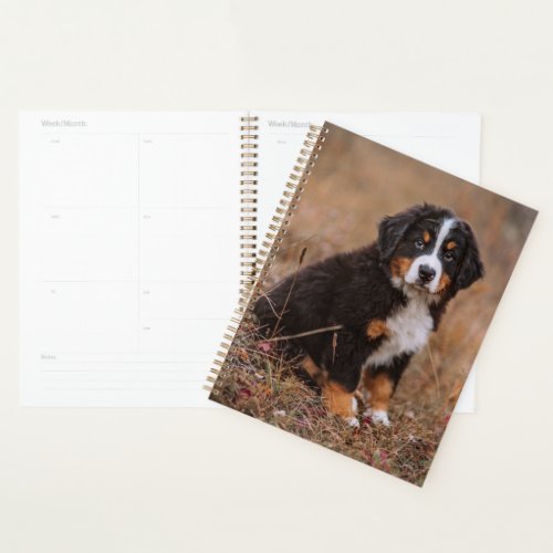 Cutest Baby Animals  Bernese Mountain Dog Planner