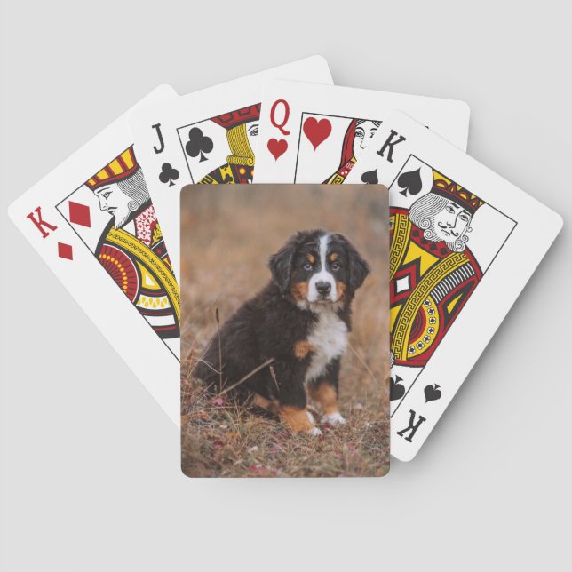 Cutest Baby Animals | Bernese Mountain Dog Poker Cards (Back)