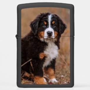 Cutest Baby Animals   Bernese Mountain Dog Zippo Lighter