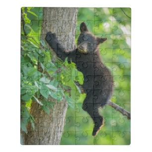 Cutest Baby Animals Black Bear Cub Jigsaw Puzzle
