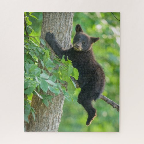 Cutest Baby Animals  Black Bear Cub Jigsaw Puzzle