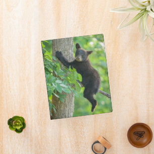 Cutest Baby Animals Black Bear Cub Mini Binder