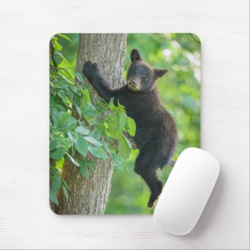 Cutest Baby Animals  Black Bear Cub Mouse Pad