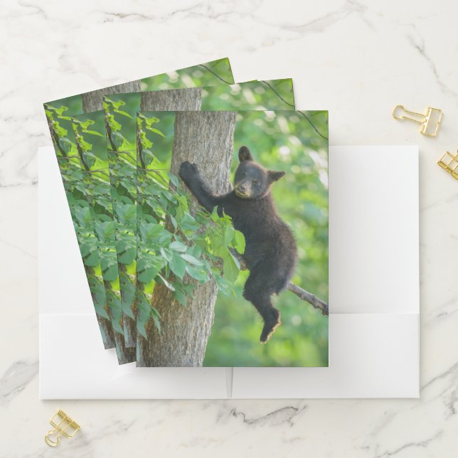 Cutest Baby Animals | Black Bear Cub Pocket Folder (In Situ)