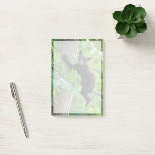 Cutest Baby Animals  Black Bear Cub Post_it Notes