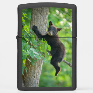 Cutest Baby Animals   Black Bear Cub Zippo Lighter