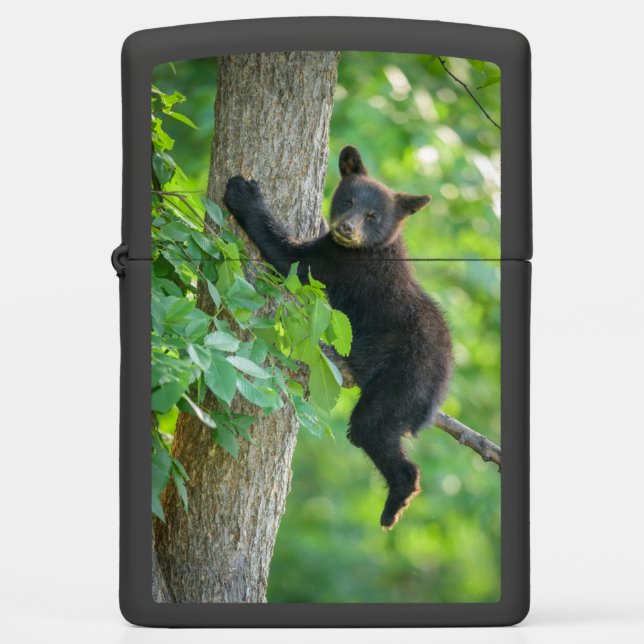 Cutest Baby Animals | Black Bear Cub Zippo Lighter (Front)