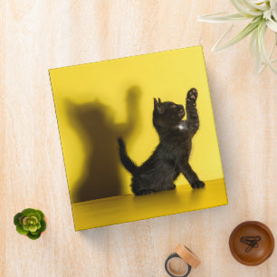 Cutest Baby Animals Black Cat Playing 3 Ring Binder