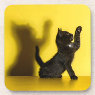 Cutest Baby Animals Black Cat Playing Beverage Coaster