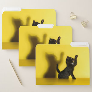 Cutest Baby Animals Black Cat Playing File Folder