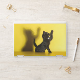 Cutest Baby Animals Black Cat Playing HP Laptop Skin