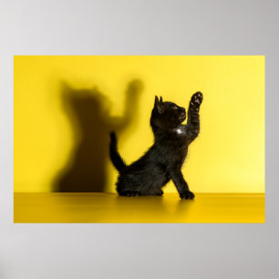 Cutest Baby Animals Black Cat Playing Poster