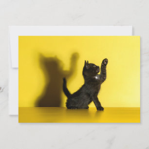 Cutest Baby Animals   Black Cat Playing Thank You Card