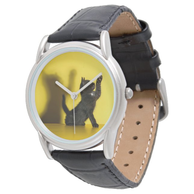 Cutest Baby Animals | Black Cat Playing Watch (Angled)