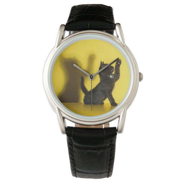 Cutest Baby Animals | Black Cat Playing Watch (Front)